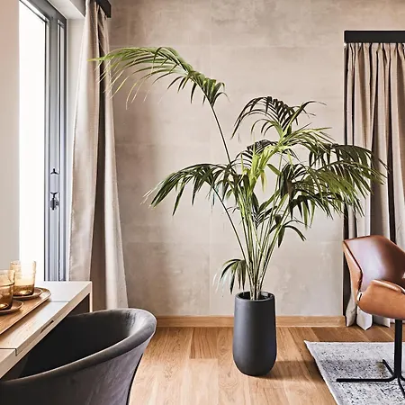 Apartahotel Cama Luxury